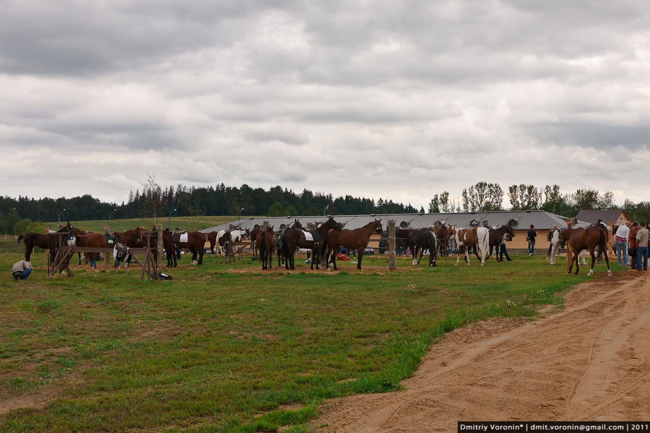 Moscow Polo Open 2011 at Tseleevo.
