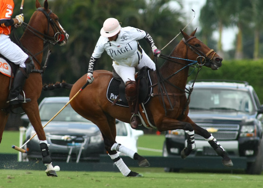 butlerhandicap polo magazine uspa polo photos alex pacheco
